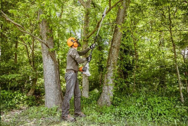 Where to find SAW, POLE PRUNNER 7 FIXED-SHAFT in Brownsburg